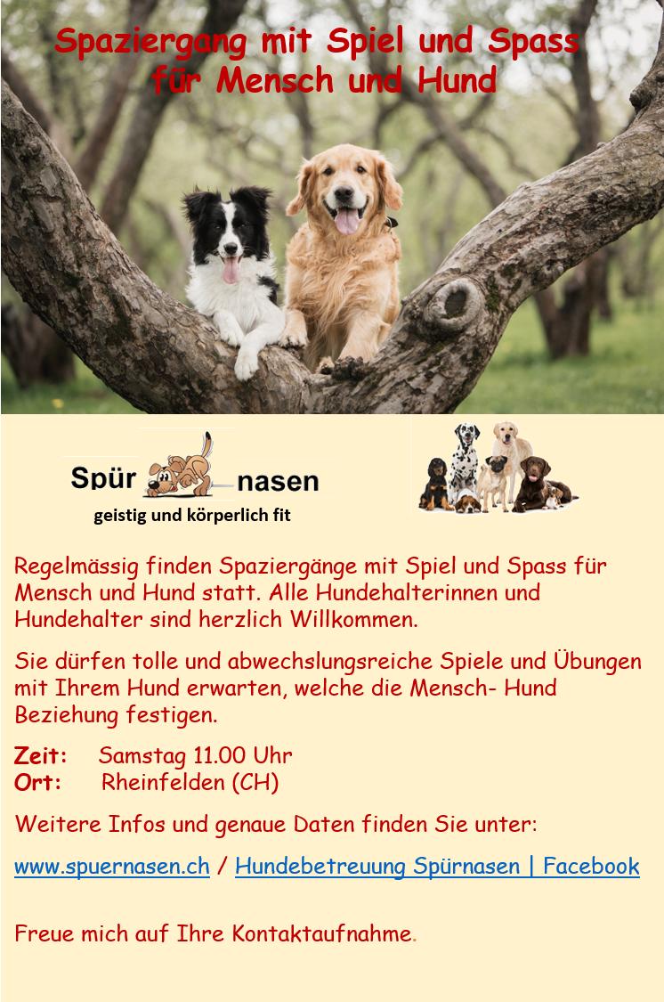 Flyer Spaziergang mit Spiel und Spass für Mensch und Hund